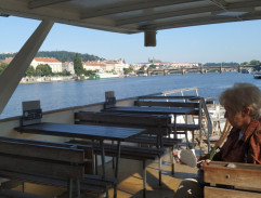 Až budou krávy lítat