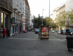 Až budou krávy lítat