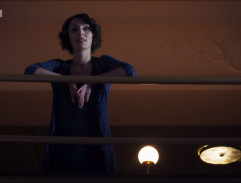 Až budou krávy lítat