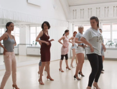 Až budou krávy lítat