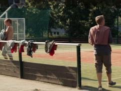 Až budou krávy lítat