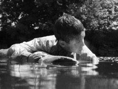 Joska na kmeni stromu