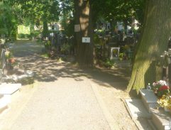 chodník na cintoríne