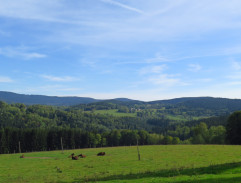 Pohled do kraje