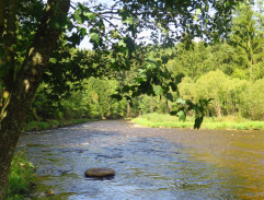 Vlasta Nováček rybaří