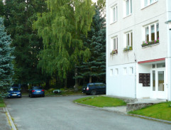 "Vášnivá noc s blechou"