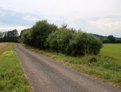 Příjezd k rybníku