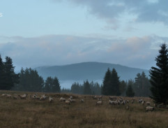 Šumavská krajina II