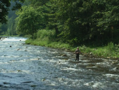 Jarda Racek rybaří