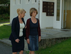 "Vášnivá noc s blechou"