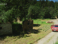 Lesní školka na Zelené hoře