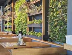 S12E15 Angie ešte nie je rozvedená