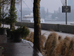 stretnutie s milenkou