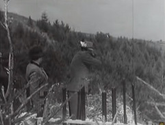 střílení holubů 1