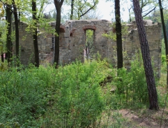 O rodičích a dětech