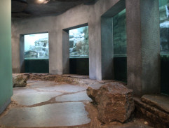 O rodičích a dětech