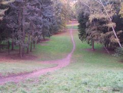 O rodičích a dětech