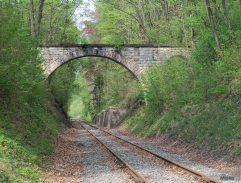 O rodičích a dětech