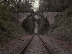 O rodičích a dětech