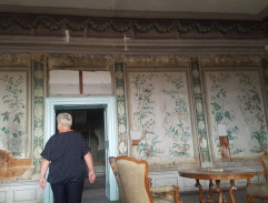 V původním zadním křídle