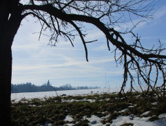 Poslední aristokratka