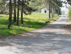 Svatební kolona přijíždí k motorestu