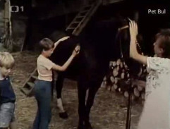 Hřebelcování koně