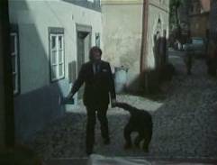 Před Mertovic domem