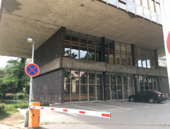 Náměstek ředitele Tuzexu