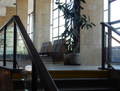 Berg pátrá po autě