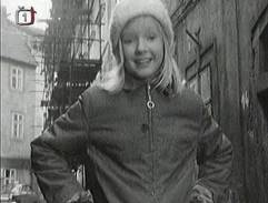 Válečku, nemluv na toho psa