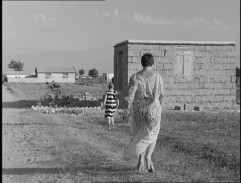 Dohadování s Wandou 