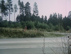 Odbočka z hlavní silnice