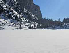 Šťastný nový rok (2019)