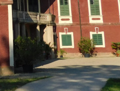 Likvidace zlé babice