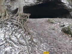 Princezna a půl království