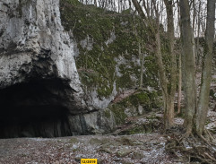 Přivázaná princezna Kateřina