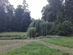 Zastávka u Egonských hor