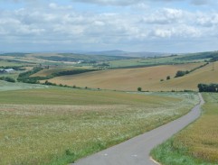 Bongo jede za Maruškou