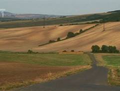 Bongo jede za Maruškou