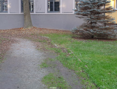 Vojta a Jakub v parku