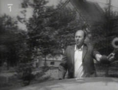 Tajemník s plácačkou