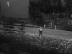 Zemek před samoobsluhou