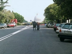 Pan účetní se nevzdává