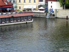 Chobotnice z II. patra