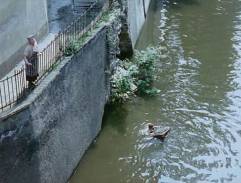 Chobotnice z II. patra