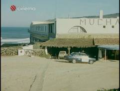 Chobotnice z II. patra