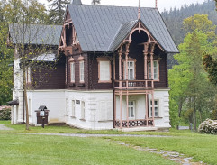 9. Kubelíkův případ