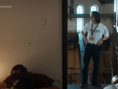 11. Všechny barvy léta