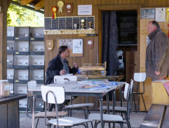 V holubářském spolku